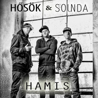 Hősök Hamis (feat. Sounds)