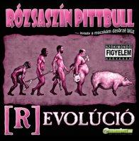 Rózsaszín Pittbull (R)evolúció